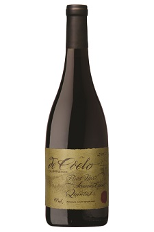 De Coelo | Quintus Pinot Noir '10 1